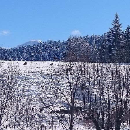 La Ferme Du Bois Barbu Ξενοδοχείο Villard-de-Lans Εξωτερικό φωτογραφία