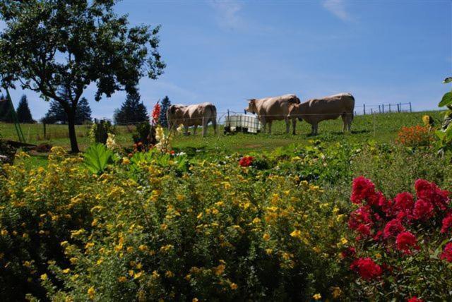 La Ferme Du Bois Barbu Ξενοδοχείο Villard-de-Lans Εξωτερικό φωτογραφία